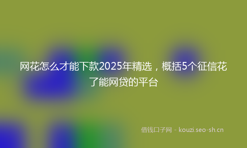 网花怎么才能下款2025年精选，概括5个征信花了能网贷的平台