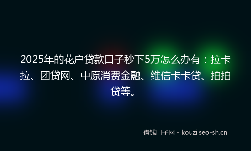 2025年的花户贷款口子秒下5万怎么办有：拉卡拉、团贷网、中原消费金融、维信卡卡贷、拍拍贷等。
