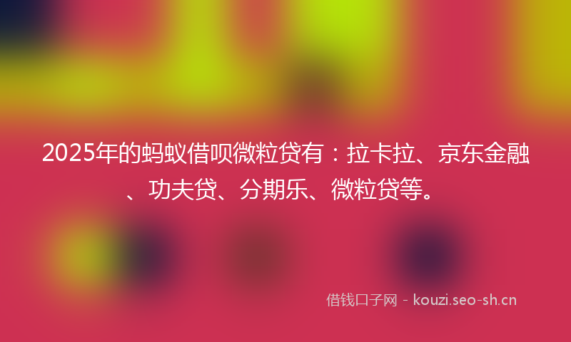 2025年的蚂蚁借呗微粒贷有：拉卡拉、京东金融、功夫贷、分期乐、微粒贷等。