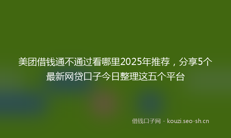 美团借钱通不通过看哪里2025年推荐，分享5个最新网贷口子今日整理这五个平台