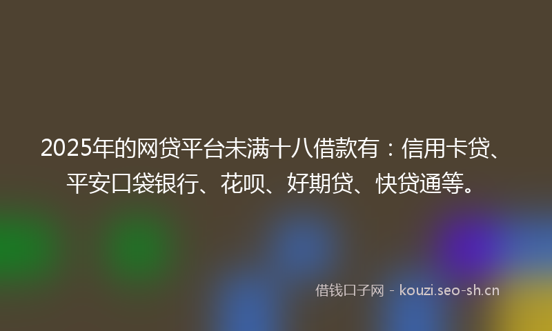2025年的网贷平台未满十八借款有:信用卡贷、平安口袋银行、花呗、好期贷、快贷通等。