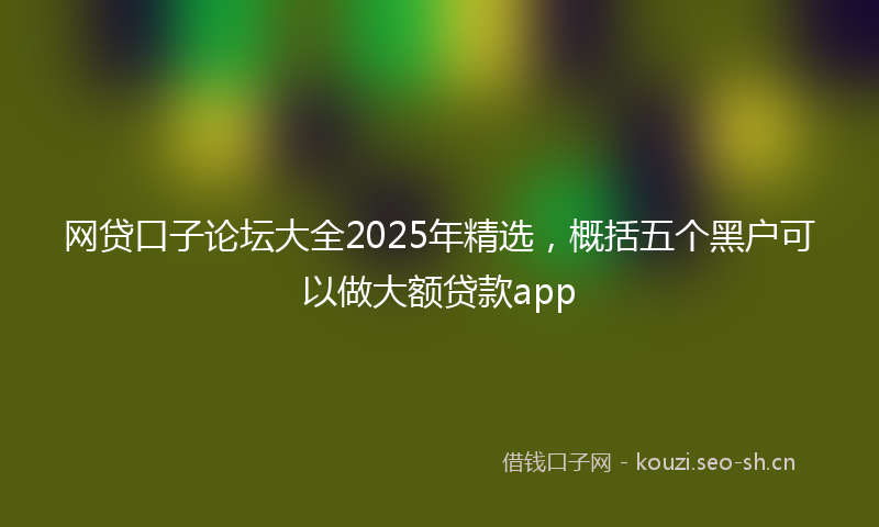 网贷口子论坛大全2025年精选，概括五个黑户可以做大额贷款app