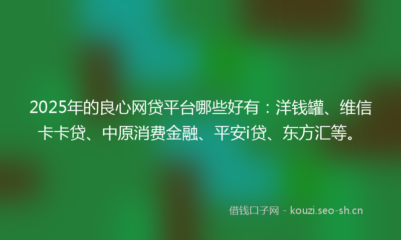 2025年的良心网贷平台哪些好有：洋钱罐、维信卡卡贷、中原消费金融、平安i贷、东方汇等。