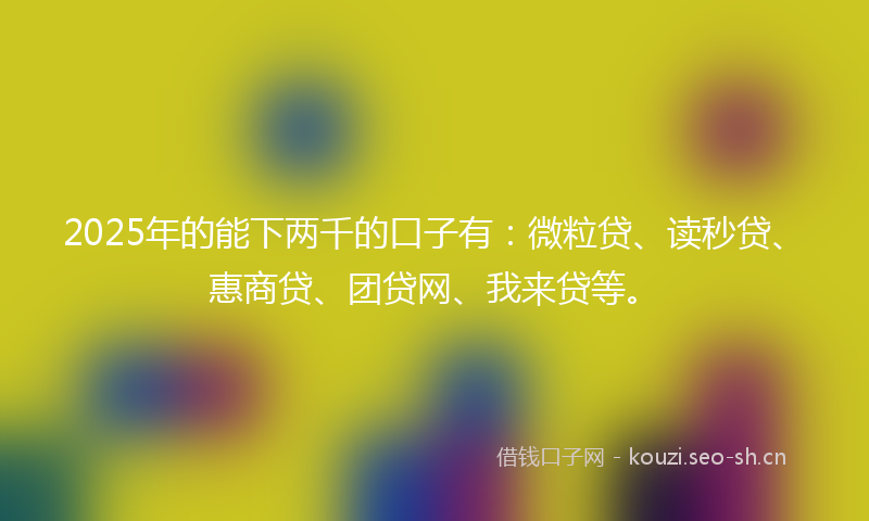 2025年的能下两千的口子有：微粒贷、读秒贷、惠商贷、团贷网、我来贷等。