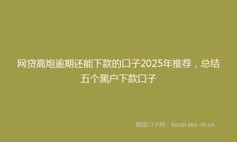 网贷高炮逾期还能下款的口子2025年推荐，总结五个黑户下款口子