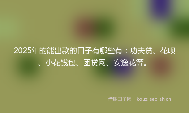 2025年的能出款的口子有哪些有：功夫贷、花呗、小花钱包、团贷网、安逸花等。