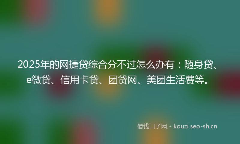 2025年的网捷贷综合分不过怎么办有：随身贷、e微贷、信用卡贷、团贷网、美团生活费等。