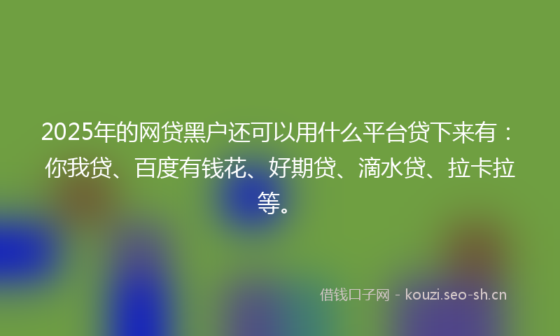 2025年的网贷黑户还可以用什么平台贷下来有：你我贷、百度有钱花、好期贷、滴水贷、拉卡拉等。