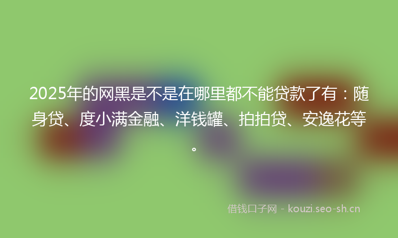 2025年的网黑是不是在哪里都不能贷款了有：随身贷、度小满金融、洋钱罐、拍拍贷、安逸花等。