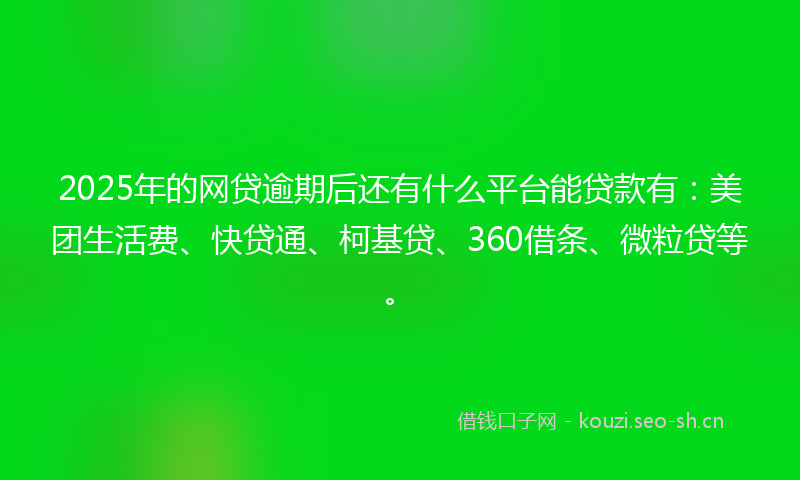 2025年的网贷逾期后还有什么平台能贷款有：美团生活费、快贷通、柯基贷、360借条、微粒贷等。