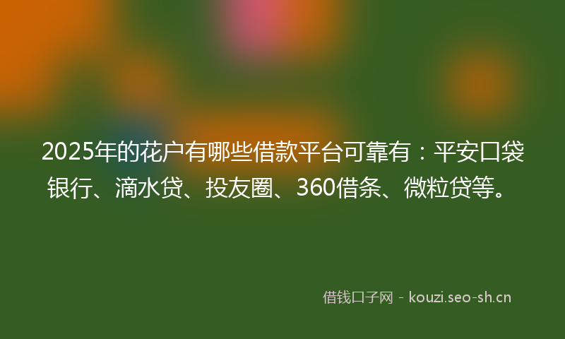 2025年的花户有哪些借款平台可靠有：平安口袋银行、滴水贷、投友圈、360借条、微粒贷等。