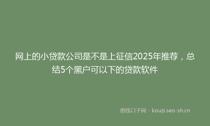 网上的小贷款公司是不是上征信2025年推荐，总结5个黑户可以下的贷款软件