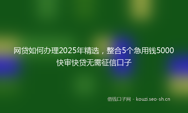 网贷如何办理2025年精选，整合5个急用钱5000快审快贷无需征信口子