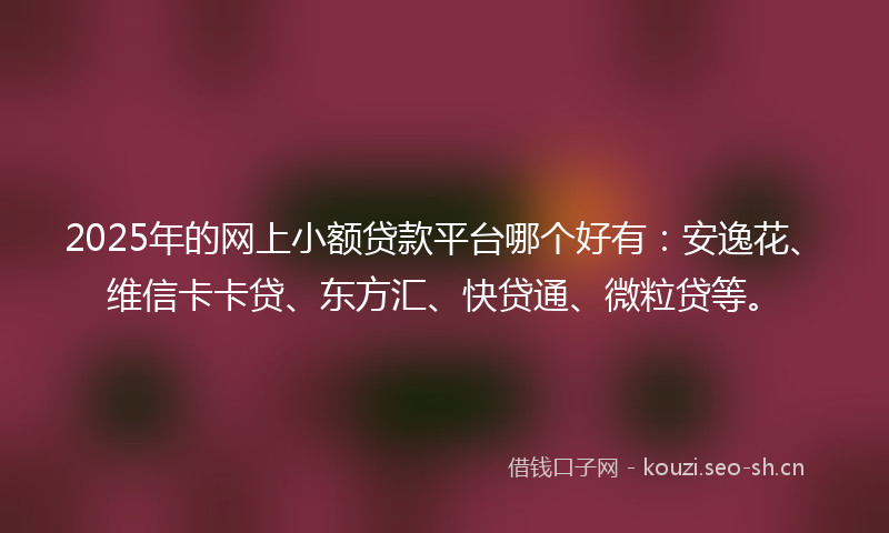 2025年的网上小额贷款平台哪个好有：安逸花、维信卡卡贷、东方汇、快贷通、微粒贷等。