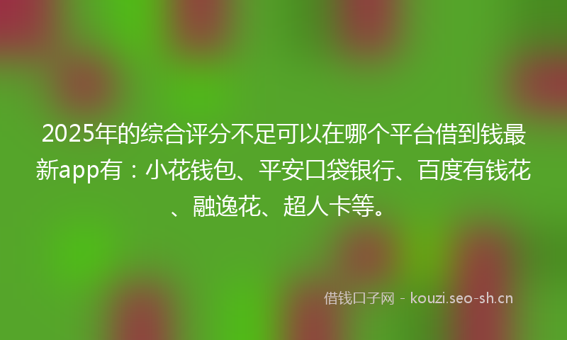 2025年的综合评分不足可以在哪个平台借到钱最新app有：小花钱包、平安口袋银行、百度有钱花、融逸花、超人卡等。