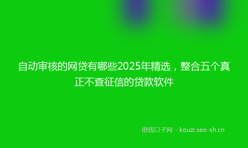 自动审核的网贷有哪些2025年精选，整合五个真正不查征信的贷款软件
