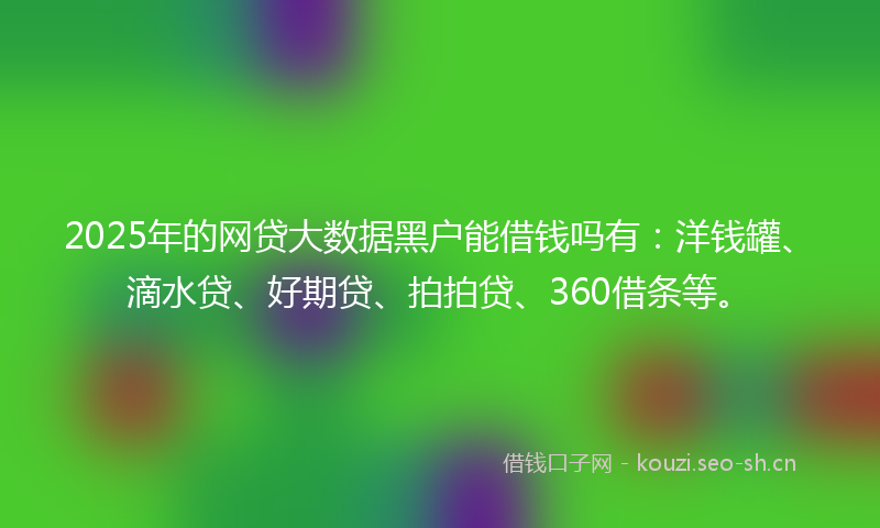 2025年的网贷大数据黑户能借钱吗有：洋钱罐、滴水贷、好期贷、拍拍贷、360借条等。