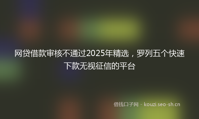 网贷借款审核不通过2025年精选,罗列五个快速下款无视征信的平台