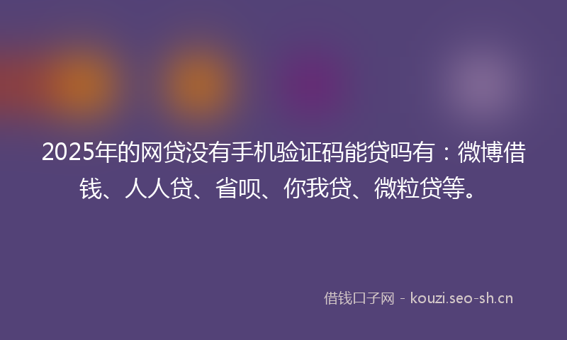 2025年的网贷没有手机验证码能贷吗有：微博借钱、人人贷、省呗、你我贷、微粒贷等。