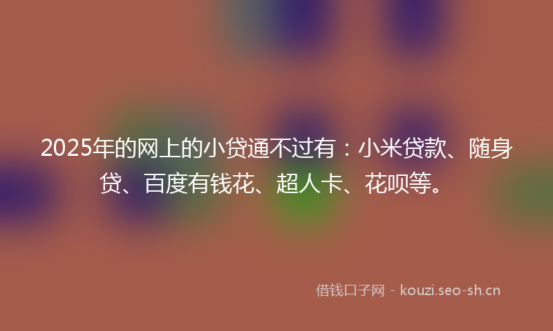2025年的网上的小贷通不过有：小米贷款、随身贷、百度有钱花、超人卡、花呗等。