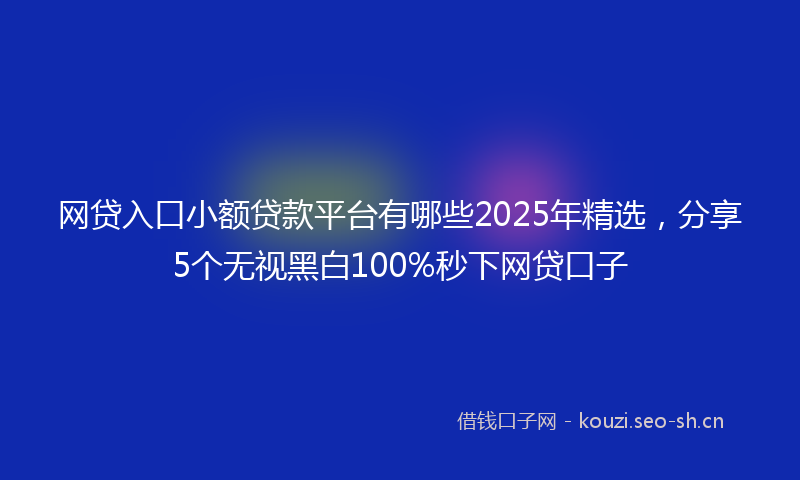 网贷入口小额贷款平台有哪些2025年精选,分享5个无视黑白100%秒下网贷口子