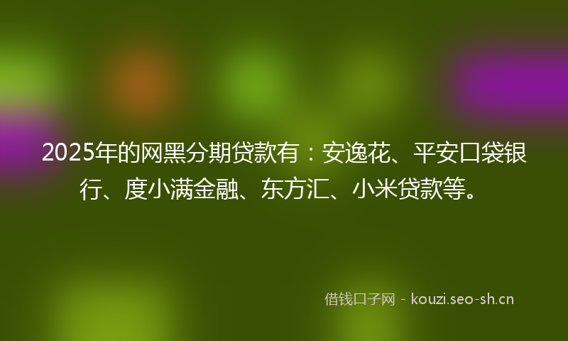 2025年的网黑分期贷款有：安逸花、平安口袋银行、度小满金融、东方汇、小米贷款等。