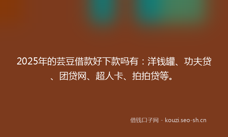 2025年的芸豆借款好下款吗有：洋钱罐、功夫贷、团贷网、超人卡、拍拍贷等。