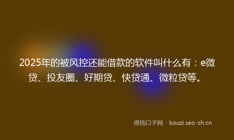 2025年的被风控还能借款的软件叫什么有：e微贷、投友圈、好期贷、快贷通、微粒贷等。