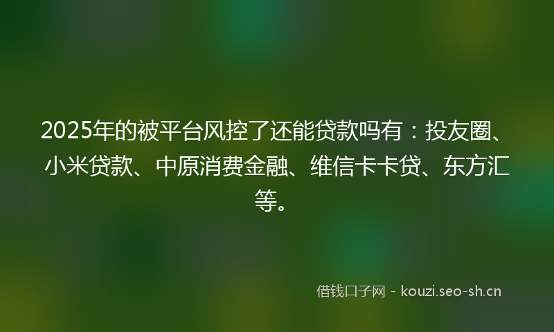 2025年的被平台风控了还能贷款吗有：投友圈、小米贷款、中原消费金融、维信卡卡贷、东方汇等。