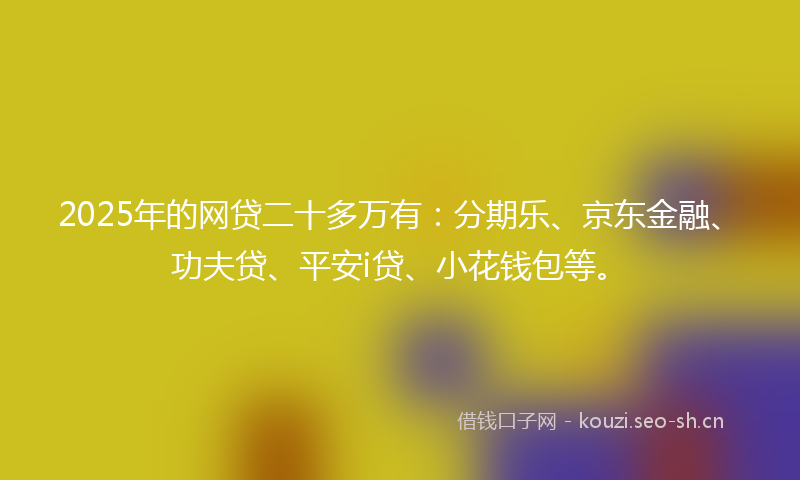 2025年的网贷二十多万有：分期乐、京东金融、功夫贷、平安i贷、小花钱包等。