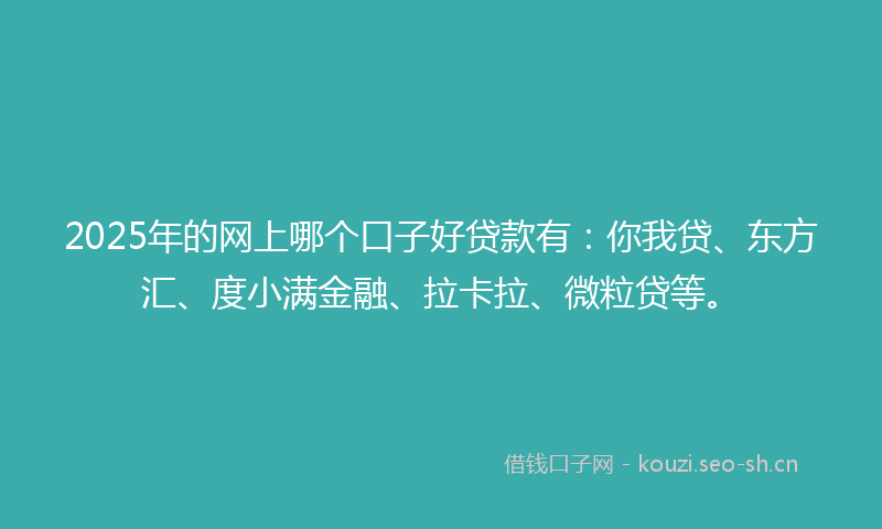 2025年的网上哪个口子好贷款有：你我贷、东方汇、度小满金融、拉卡拉、微粒贷等。
