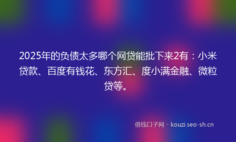2025年的负债太多哪个网贷能批下来2有:小米贷款、百度有钱花、东方汇、度小满金融、微粒贷等。