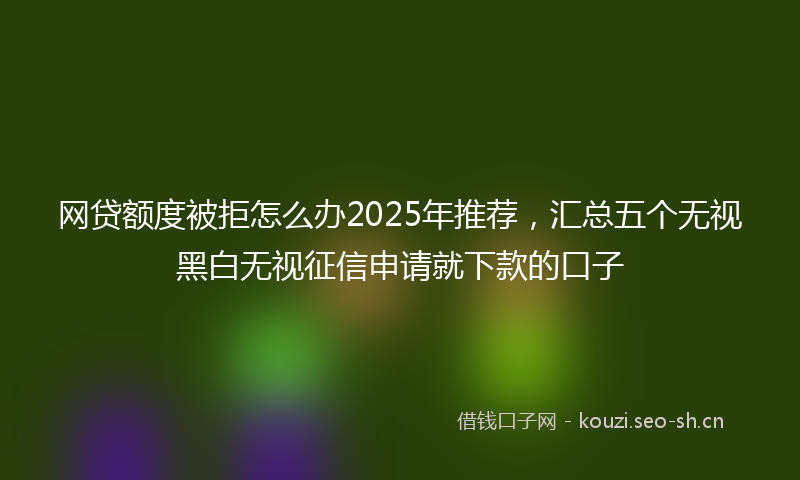 网贷额度被拒怎么办2025年推荐，汇总五个无视黑白无视征信申请就下款的口子
