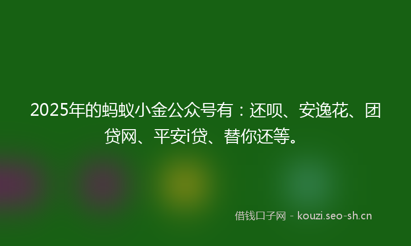 2025年的蚂蚁小金公众号有：还呗、安逸花、团贷网、平安i贷、替你还等。