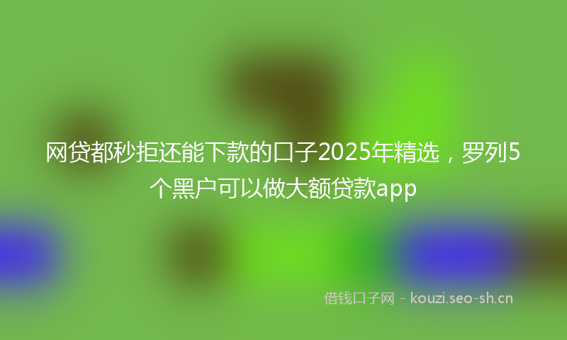 网贷都秒拒还能下款的口子2025年精选，罗列5个黑户可以做大额贷款app