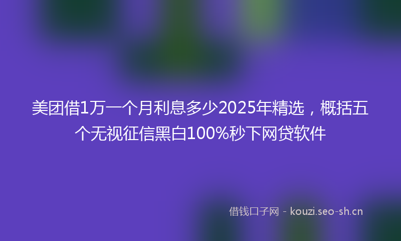 美团借1万一个月利息多少2025年精选，概括五个无视征信黑白100%秒下网贷软件