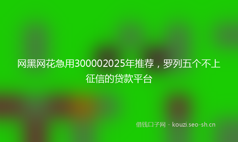 网黑网花急用300002025年推荐，罗列五个不上征信的贷款平台
