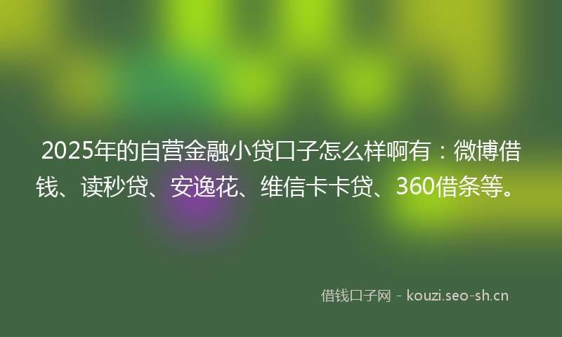 2025年的自营金融小贷口子怎么样啊有：微博借钱、读秒贷、安逸花、维信卡卡贷、360借条等。
