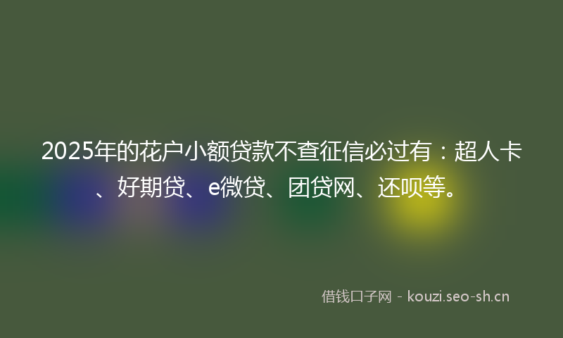 2025年的花户小额贷款不查征信必过有：超人卡、好期贷、e微贷、团贷网、还呗等。