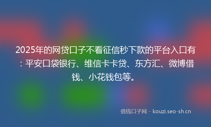 2025年的网贷口子不看征信秒下款的平台入口有：平安口袋银行、维信卡卡贷、东方汇、微博借钱、小花钱包等。