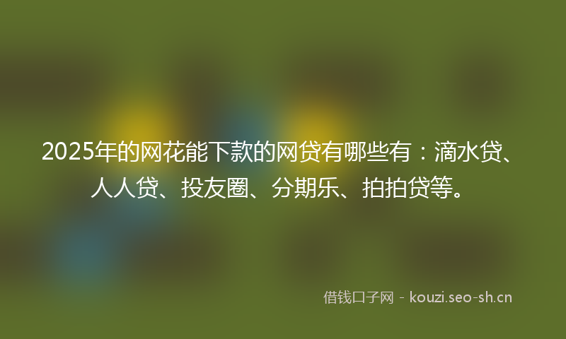 2025年的网花能下款的网贷有哪些有：滴水贷、人人贷、投友圈、分期乐、拍拍贷等。