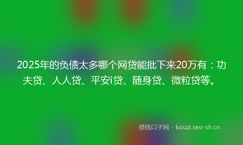 2025年的负债太多哪个网贷能批下来20万有：功夫贷、人人贷、平安i贷、随身贷、微粒贷等。