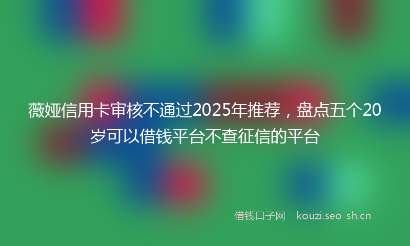 薇娅信用卡审核不通过2025年推荐，盘点五个20岁可以借钱平台不查征信的平台