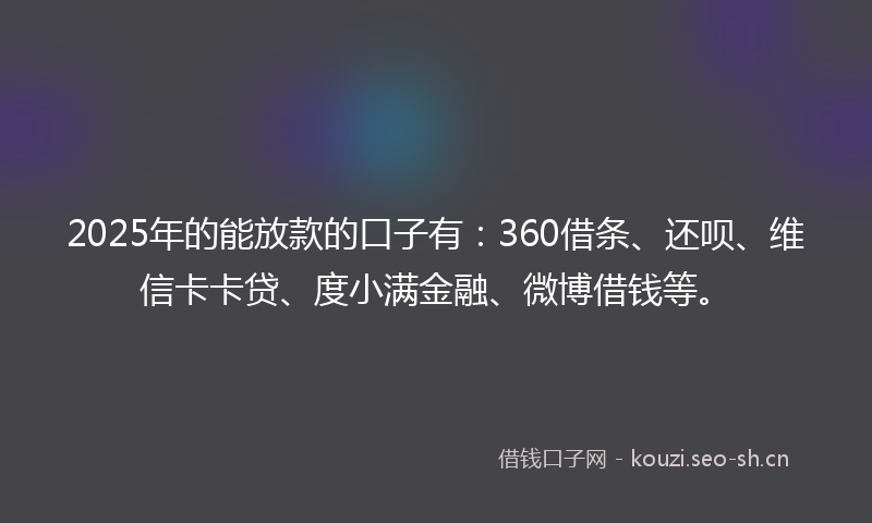 2025年的能放款的口子有：360借条、还呗、维信卡卡贷、度小满金融、微博借钱等。