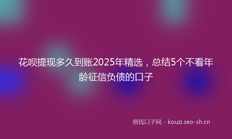 花呗提现多久到账2025年精选，总结5个不看年龄征信负债的口子