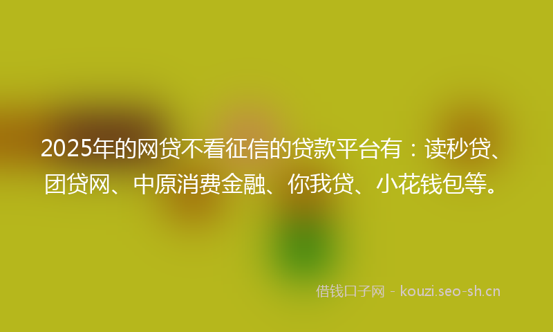 2025年的网贷不看征信的贷款平台有：读秒贷、团贷网、中原消费金融、你我贷、小花钱包等。