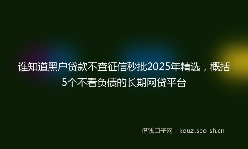谁知道黑户贷款不查征信秒批2025年精选，概括5个不看负债的长期网贷平台