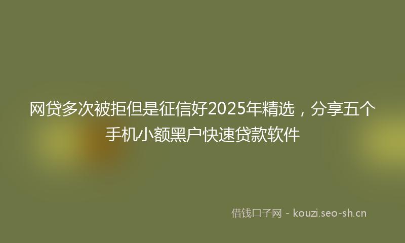 网贷多次被拒但是征信好2025年精选，分享五个手机小额黑户快速贷款软件