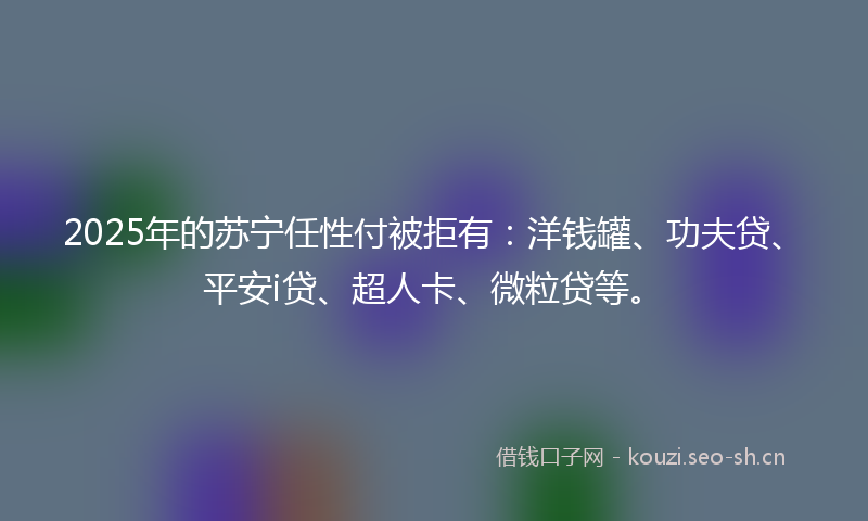2025年的苏宁任性付被拒有：洋钱罐、功夫贷、平安i贷、超人卡、微粒贷等。