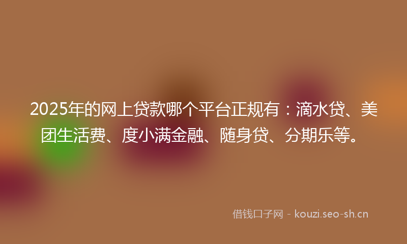 2025年的网上贷款哪个平台正规有：滴水贷、美团生活费、度小满金融、随身贷、分期乐等。